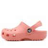 Crocs (GS) Klasik Takunya “Kavun” 204536-737